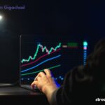 Crypto30x.com Gigachad