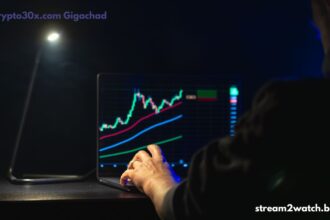 Crypto30x.com Gigachad
