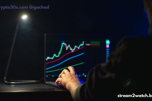 Crypto30x.com Gigachad