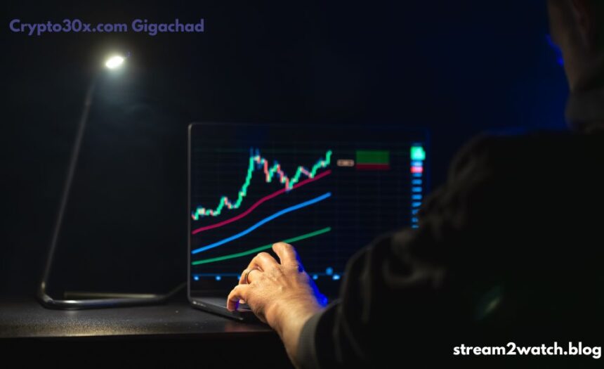 Crypto30x.com Gigachad
