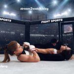 UFC Cartelera
