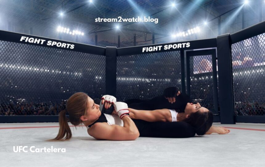 UFC Cartelera